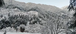 Barot Valley Camping Site - Image 3