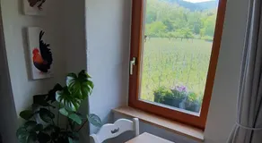 DANDELION Bed & Breakfast - Image 5