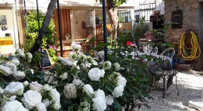 LES TERRES BASSES - Image 4