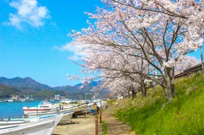 古民家の宿宰嘉庵 TraditionalJapaneseHotel Saikaan - Image 2
