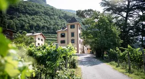 Weingut Kornell - Schafferhaus Cosmas und Zeder - Image 5