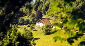 La Ferme du Vieux Sapin - Image 3