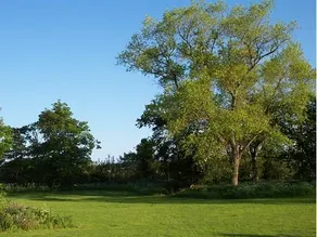 The Durdans - Image 3