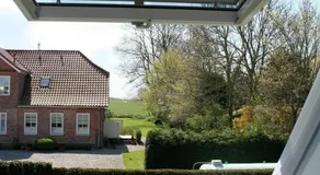 Haus-Turmspucker - Image 5