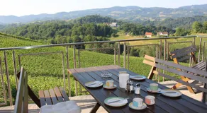 Weingut Fellner - Image 3