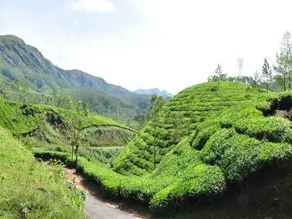 Snow Drops Homestay - Image 4