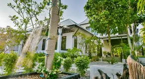 Magic House - No Pets Allowed - Image 4