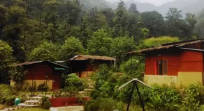 Rishikesh Valley - Image 4
