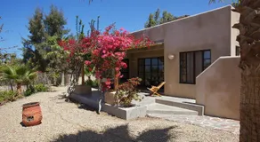 Sole Caliente - Image 3
