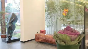 Shaoguan Xili Song Hot Spring Art Hotel - Image 2