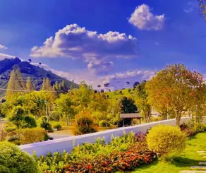 Yunqinyao Mountain White Tea Valley Holiday Villa - Image 3