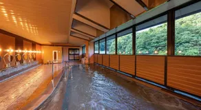 猿投温泉金泉閣 - Image 3