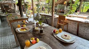 Didu's Homestay Bed & Breakfast - Image 4