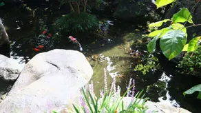 Nakamura Ryokan - Image 4