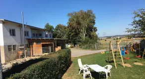 Pferd - Image 5