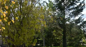 Particulier - Image 5