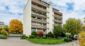 Swiss Suites Oberrohrdorf - Image 3