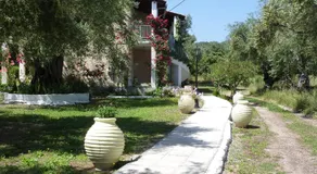 Petros Studios - Image 2