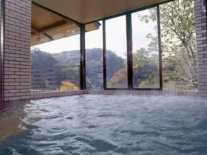 Taishakukyou Kanko Hotel Kinsaikan - Image 5
