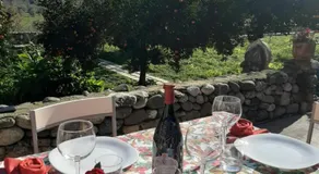Tenuta Le Tre Querce - Image 3