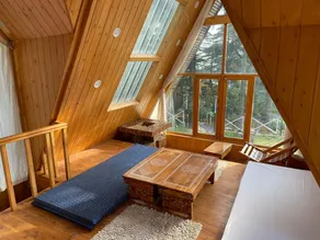 The Alpine Woods - Image 5