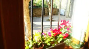 Can Marlot - Image 4