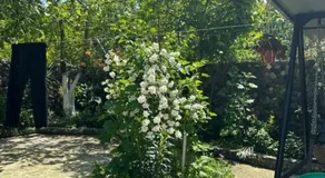 sweet home - Image 5