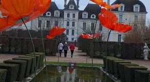 Les Volets Bleus - Gite10 Pers park autos-motos-velos Chambord Beauval - Image 1