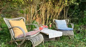 Inn Het Nest - Image 2