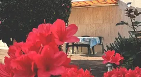 Appartamento ZOIA - Image 4