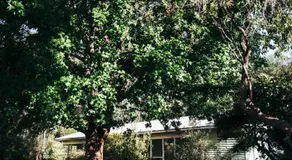 Jarrah Forest Lodge - Image 5