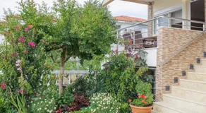 Vila Sofia - Image 5
