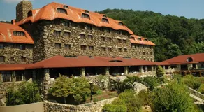 Asheville Relaxing Sanctuary Arboretum adjacent - Image 5