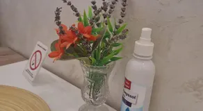 Apartman LUX Jelena - Image 5