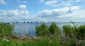 de Wylgepleats - Image 5