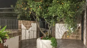 Villa jiguera - Image 4