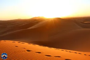 merzouga desert camp - Image 5