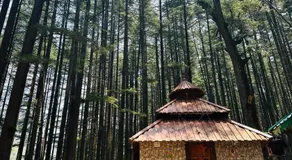 Deodar Village Homestay Devalsari - Image 4