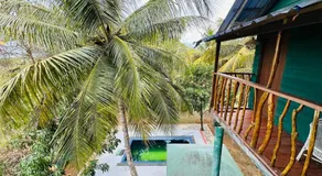 Eco Tree House Yala - Image 3