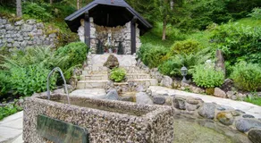 Waldhotel Bad Jungbrunn - Image 3
