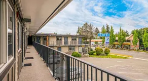 Bluebird Motel - Image 4