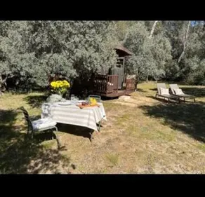 Roulotte / Tiny House dans les Alpilles - Image 5