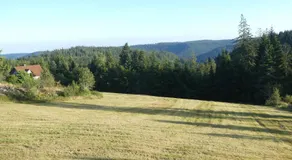 Naturapartment SCHWARZWALDSEELE Kniebis - Image 5