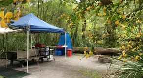 WA Wilderness Camping Experience - Image 5
