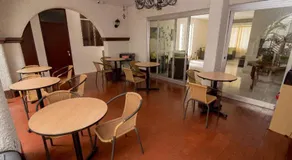 Nuevo Bamboo - Image 4