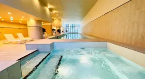 Luxury Indoor Pool, Jacuzzi, Sauna and Steam - Image 3