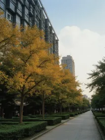 玲珑山的家 - Image 3