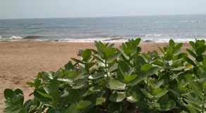 Ashirbad Guest House - Image 3