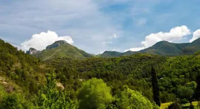 Moleras - Image 4