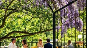 Appart'Hotel-Restaurant Castel Emeraude - Image 5